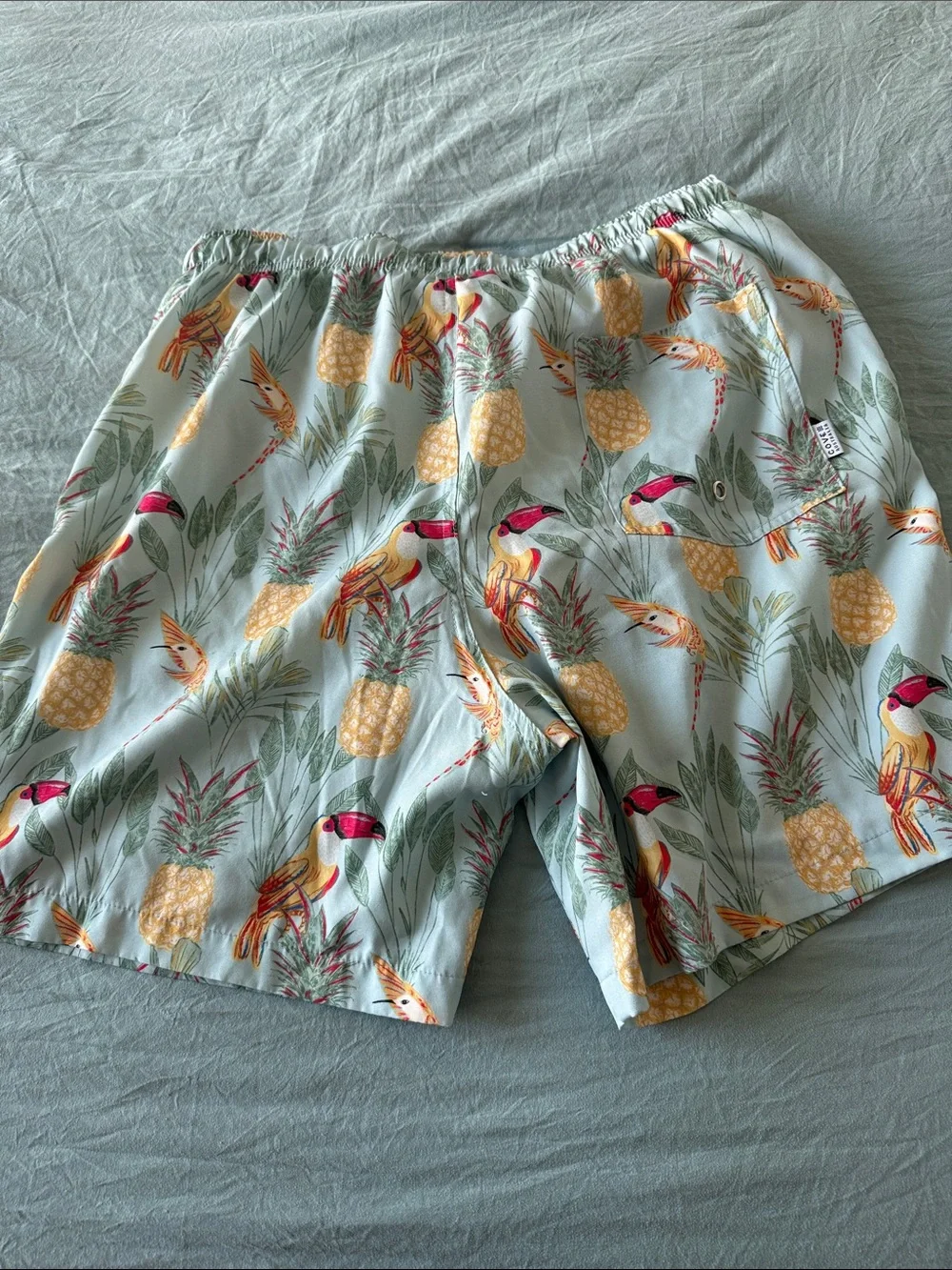 Cove Men’s Light Blue Pineapple & Toucan Swim Shorts